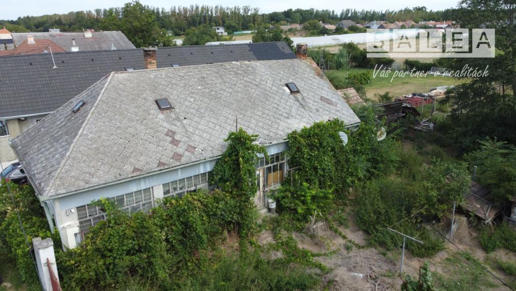 Pozemok so starým domom 1333m2.  Tomášikovo.