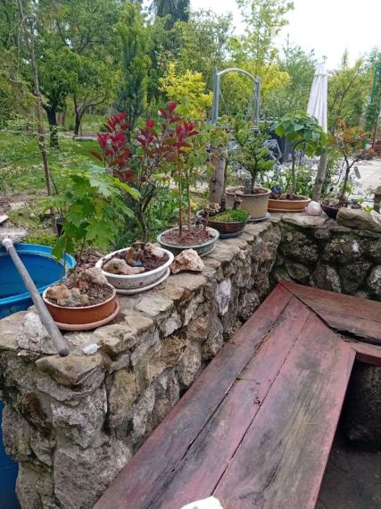 Výrazne znížená cena....Jedinečný rodinný dom v Šali/Veči