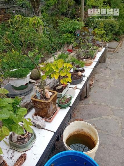 Výrazne znížená cena....Jedinečný rodinný dom v Šali/Veči