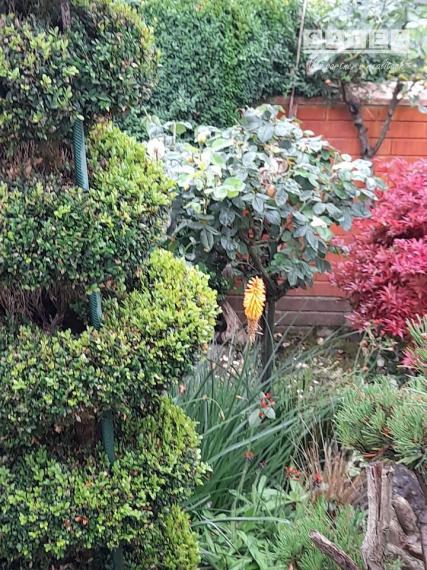 Výrazne znížená cena....Jedinečný rodinný dom v Šali/Veči