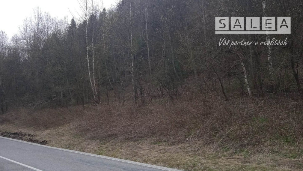 Rekreačný pozemok na okraji obce Nálepkovo o celkovej rozlohe 3021 m2