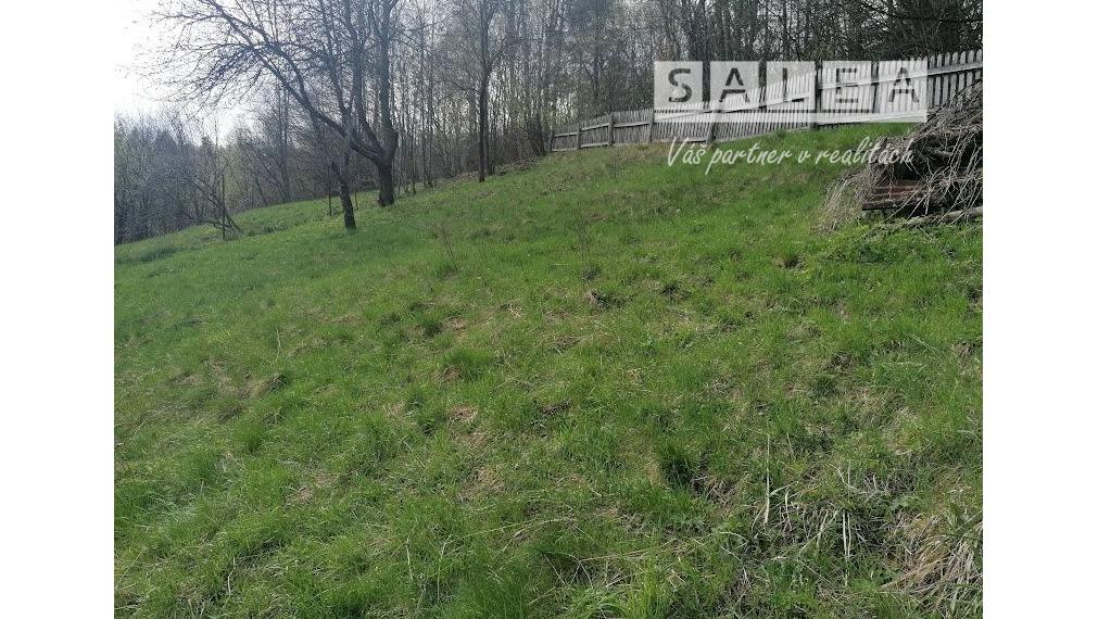 Pozemky so starým RD v obci Prakovce o celkovej rozlohe 700m2