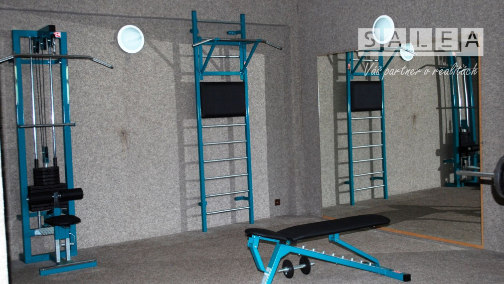 Vila Ranč Exkluzívna  - Krásna príroda, jazero, chov koní, apartmány, bazén, bowling, spoločenské akcie, kopec prírody, športu a relaxu