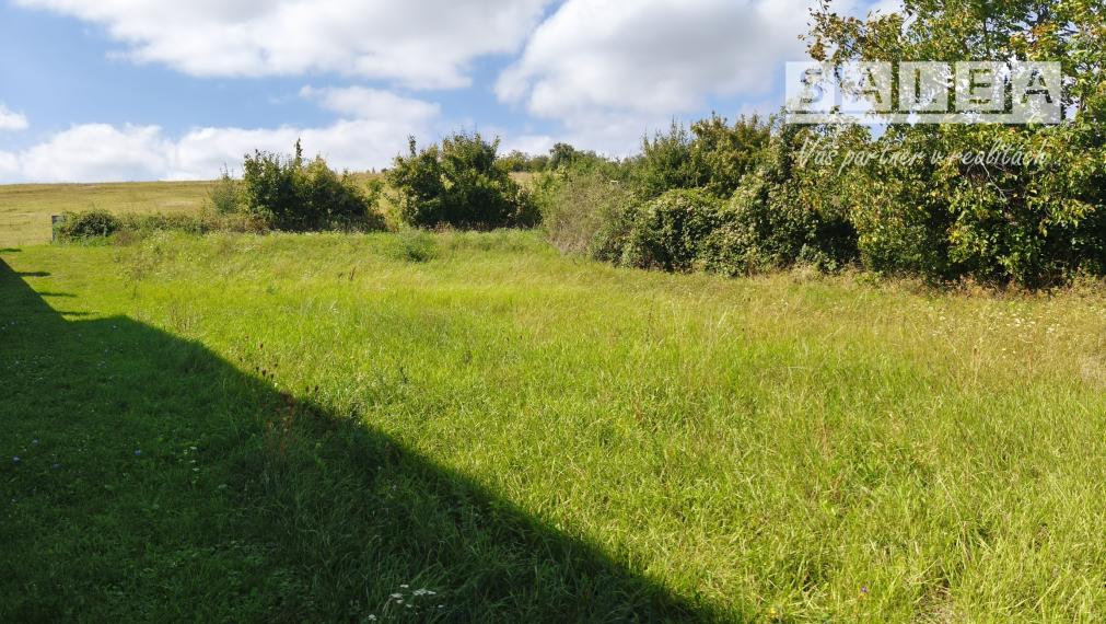 Na predaj stavebný pozemok v meste Vrbové o výmere 2944m2.