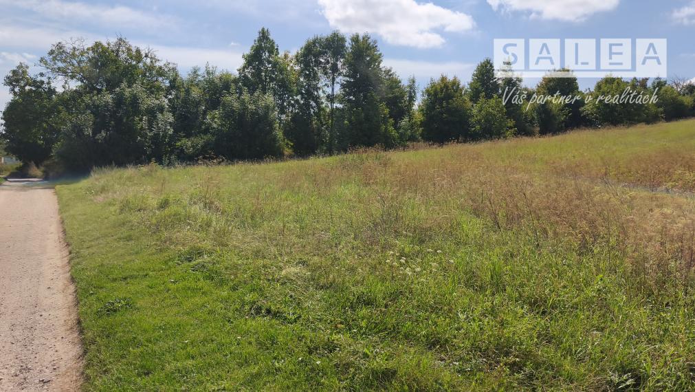 Na predaj stavebný pozemok v meste Vrbové o výmere 2944m2.