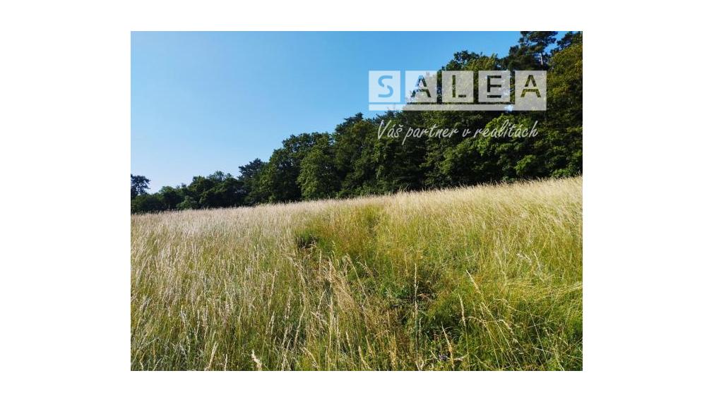 Stavebný pozemok Bzince pod Javorinou - Vrzavka 16293m2.