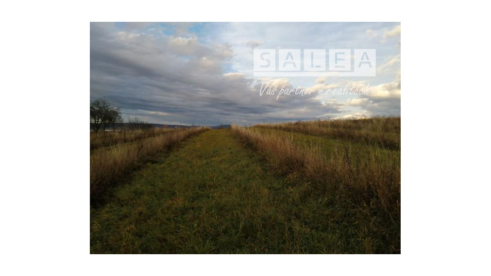 Stavebný pozemok v Meste Myjava o výmer 8930m2.