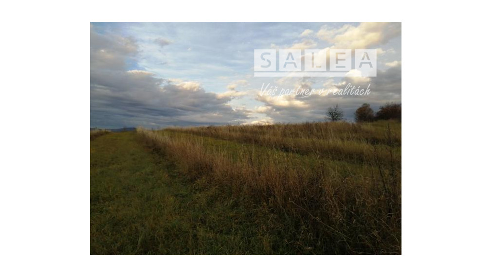 Stavebný pozemok v Meste Myjava o výmer 8930m2.