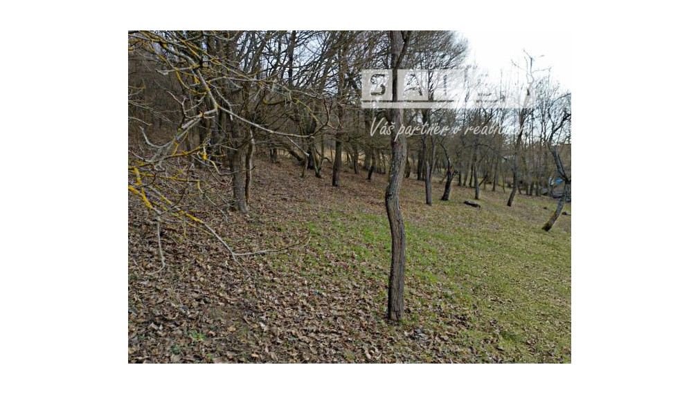 Pozemok s chalupou v obci Podkylava o výmere 8852m2.