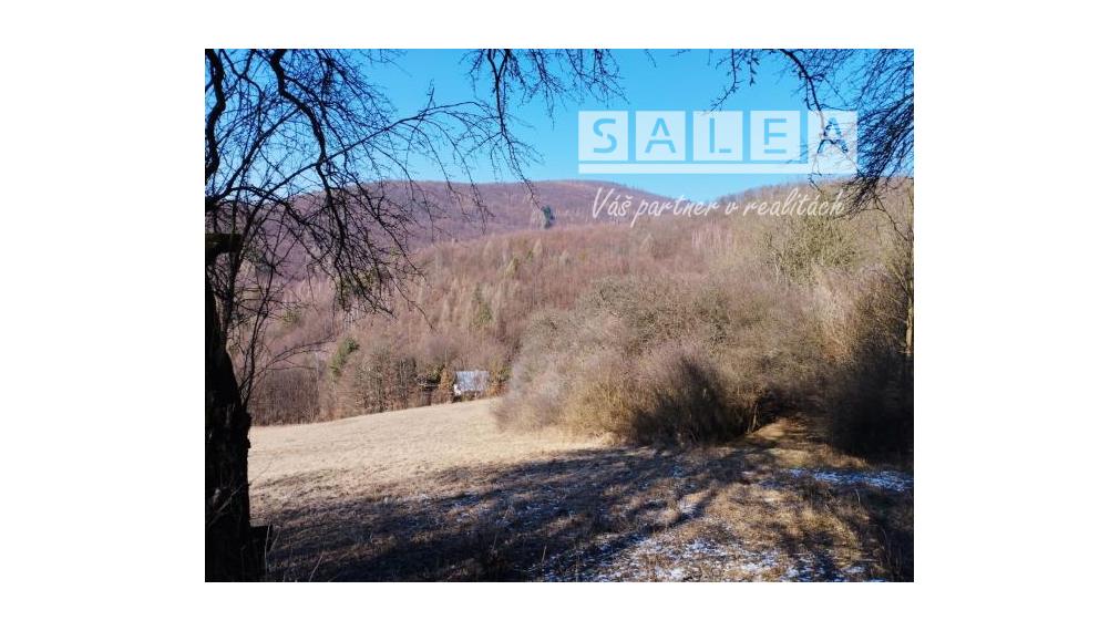 Pekná chata aj s pozemkom v obci Drietoma o výmere 250m2.