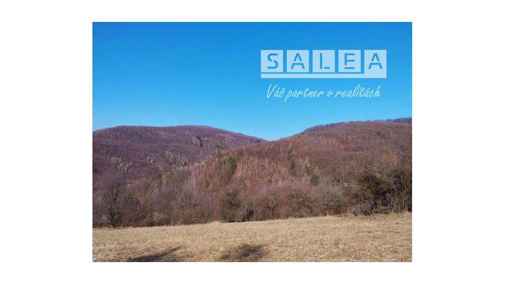 Pekná chata aj s pozemkom v obci Drietoma o výmere 250m2.