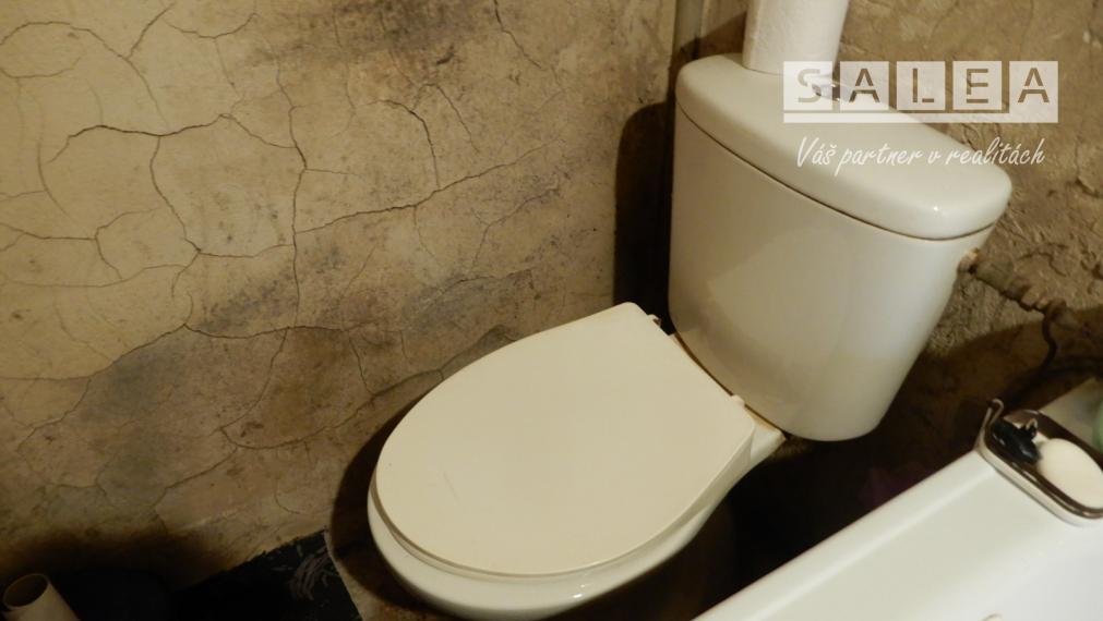 Slnečný Rodinný dom,100 m2, letná kuchyňa, Turá, okr.Levice