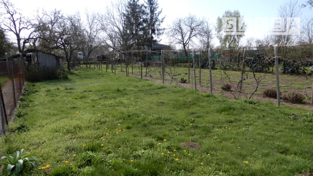 Slnečný Rodinný dom,100 m2, letná kuchyňa, Turá, okr.Levice