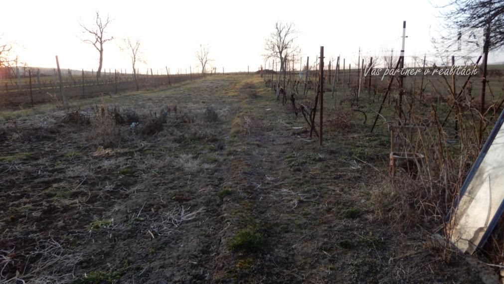 Slnečné dva domy na jednom pozemku,  130 m2, garáž, Kozárovce, okr. Levice