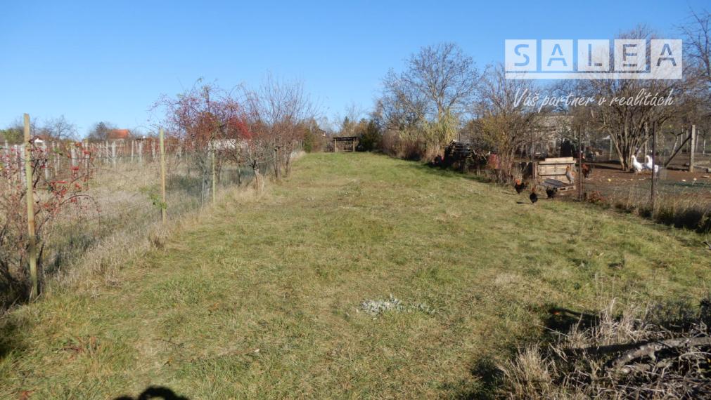 Slnečný viničný dom, 18 m2, Strážny Vrch, okr. Levice