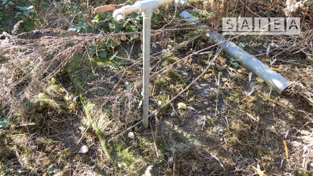 Slnečný viničný dom, 18 m2, Strážny Vrch, okr. Levice