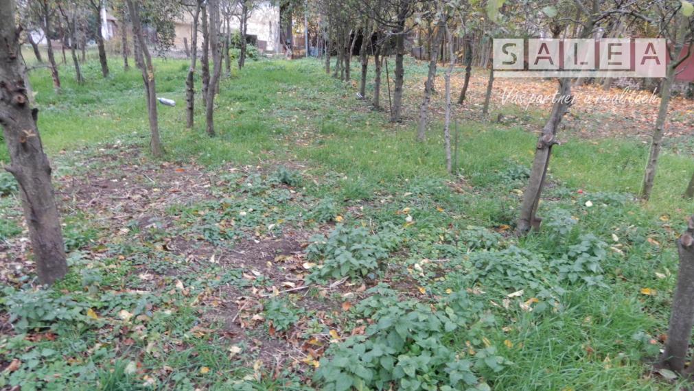 Rodinný dom, 130 m2, garáž, Kuraľany, okr. Levice