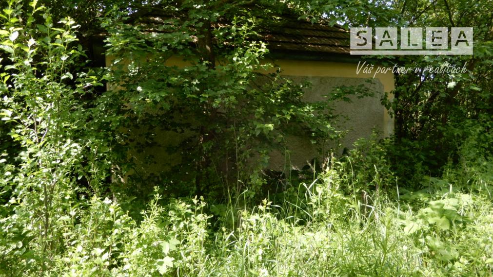 Vinica na predaj, 2500 m2, Farná, okr. Levice