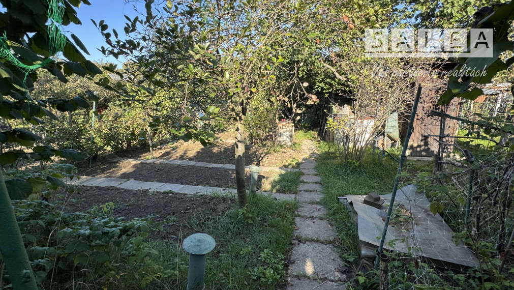 Záhrada 293 m2 v Šali pri tenisových kurtoch