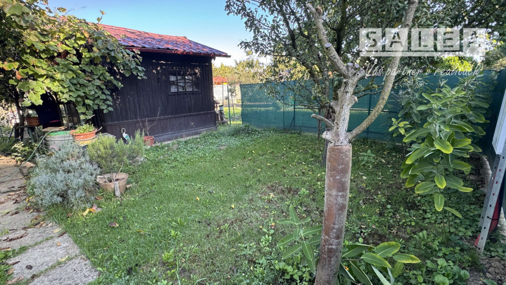 Záhrada 293 m2 v Šali pri tenisových kurtoch