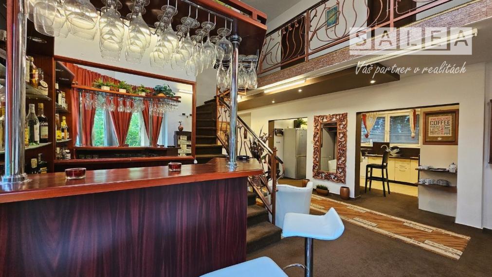 Vila dom 452m2 na pozemku 713m2,centre mesta Dunajská streda