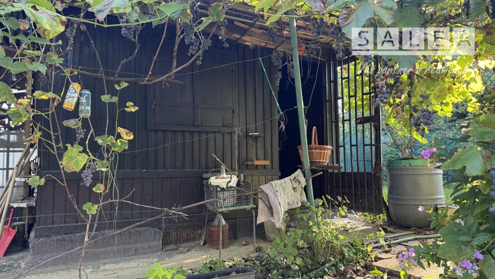 Záhrada 293 m2 v Šali pri tenisových kurtoch