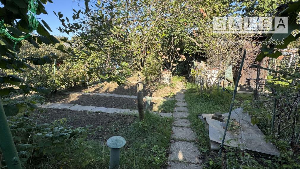 Záhrada 293 m2 v Šali pri tenisových kurtoch