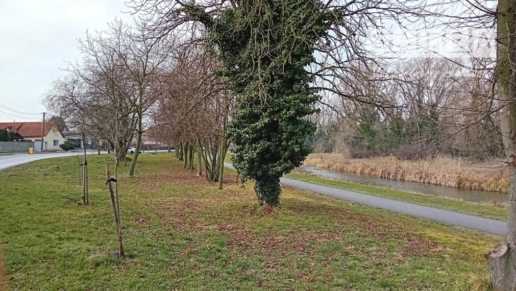 Anna Lukačovičová