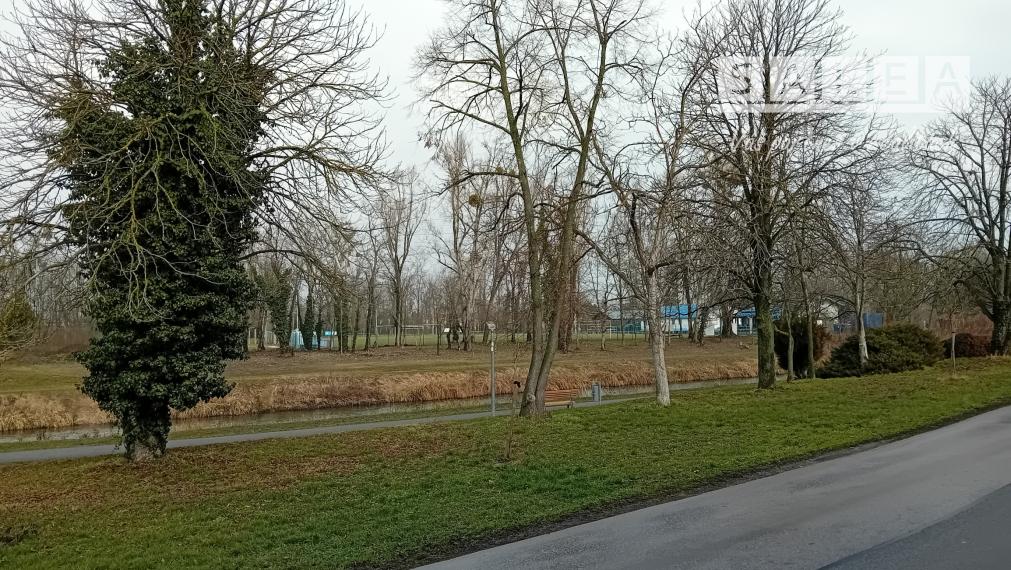 Anna Lukačovičová