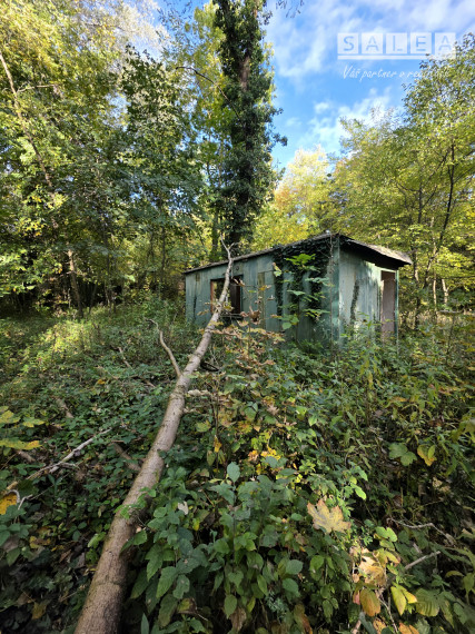 Stavebný pozemok v lese. 2269m2 Tomášikovo