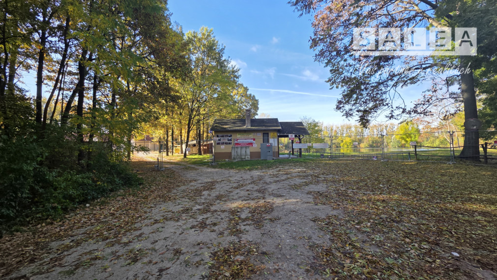 Stavebný pozemok v lese. 2269m2 Tomášikovo