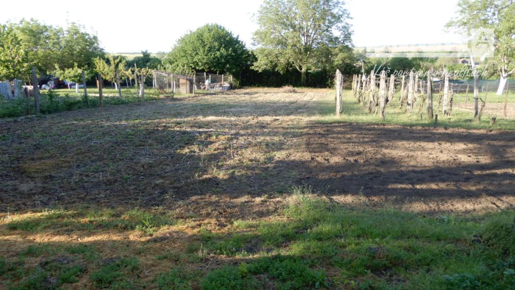 Rodinný dom, 130 m2, garáž, letná kuchyňa, Farná, okr. Levice