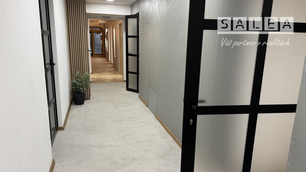 Prenájom pre pestrú ponuku služieb pešia zóna Šaľa 200 m2 alebo po miestnostiach