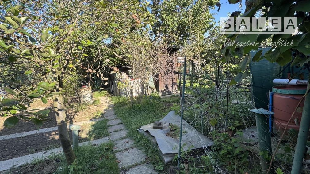 Záhrada 293 m2 v Šali pri tenisových kurtoch
