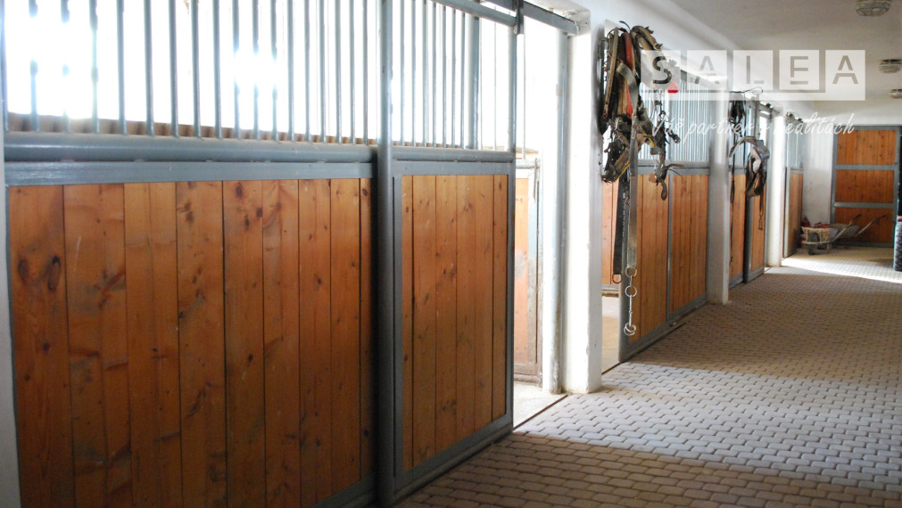 Vila Ranč - Krásna príroda, jazero, chov koní, apartmány, bazén, bowling, spoločenské akcie, kopec prírody, športu a relaxu