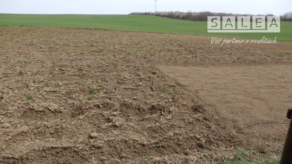 Slnečný rodinný dom, 120 m2, Dedinka, okr. Nové Zámky