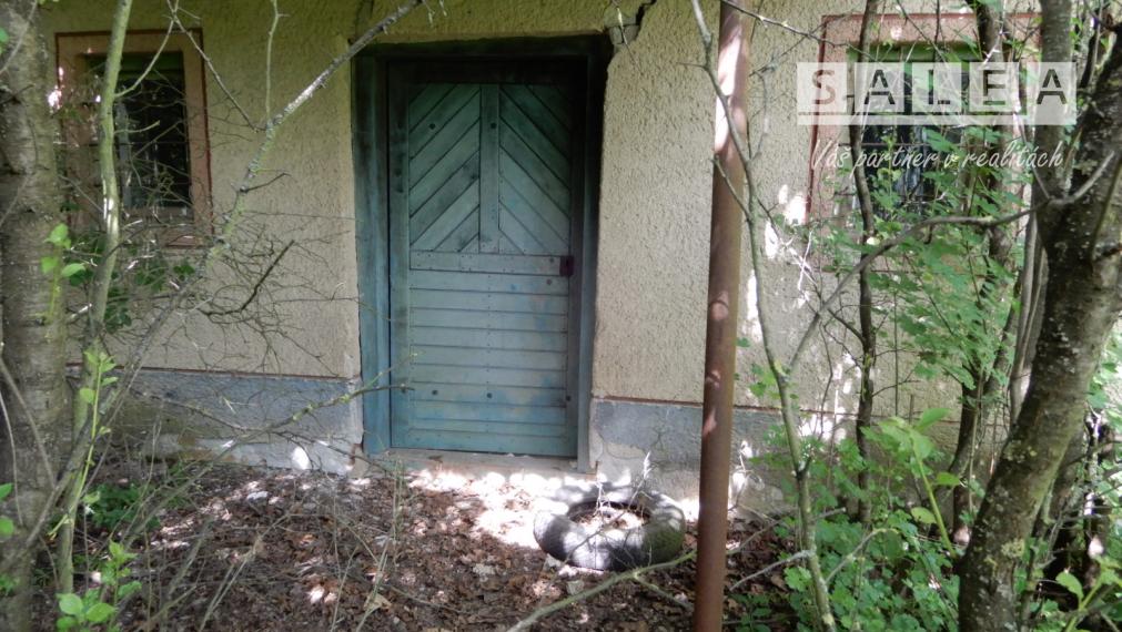 Vinica na predaj, 2500 m2, Farná, okr. Levice