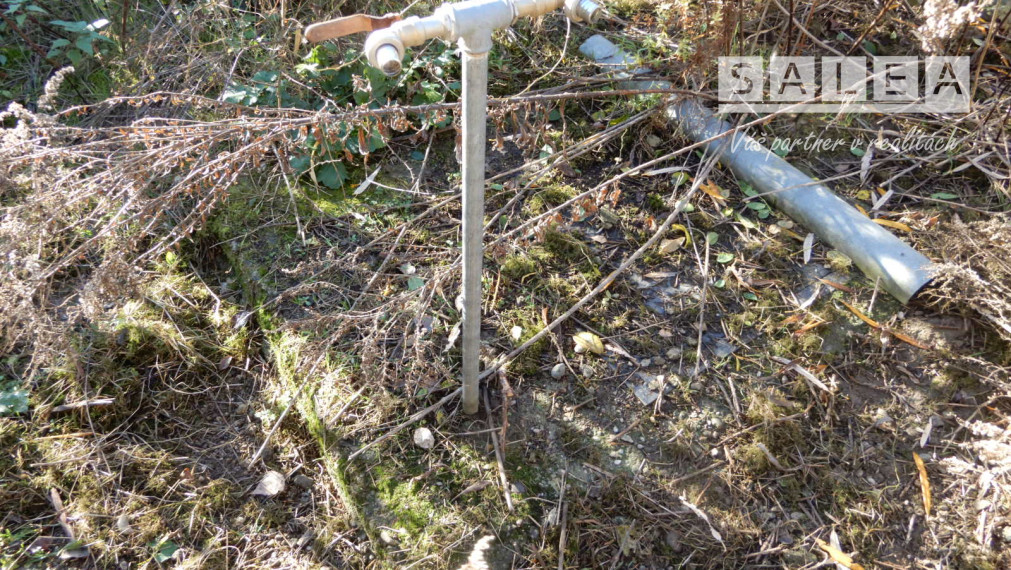 Slnečný viničný dom, 18 m2, Strážny Vrch, okr. Levice