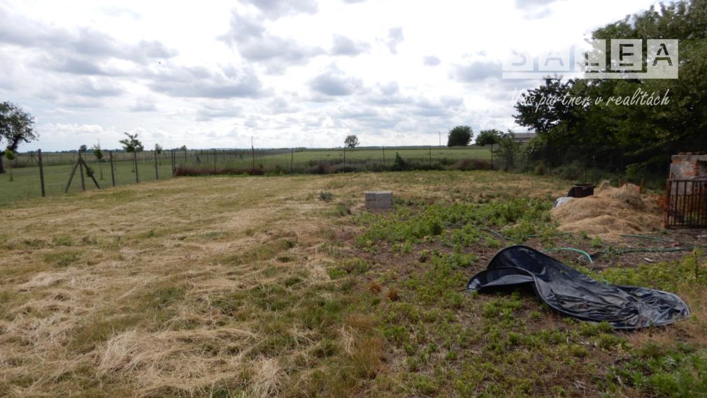 Rodinný dom,140 m2,garáž,letná kuchyňa,Hronovce, okr. Levice