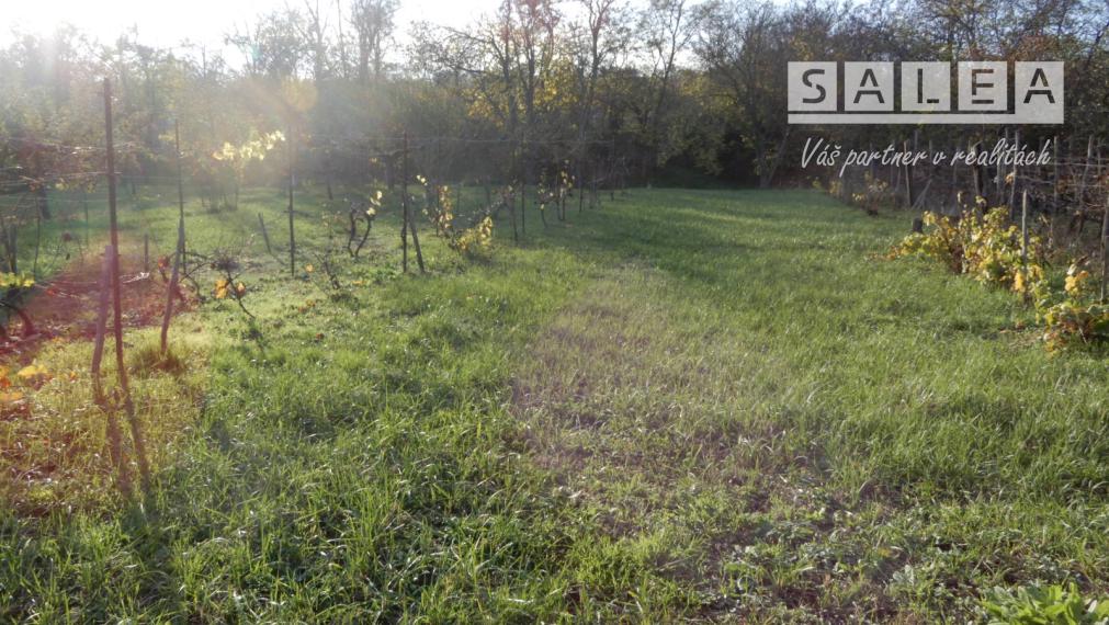 Slnečný rodinný dom, 121 m2, garáž, Pastovce, okr. Levice