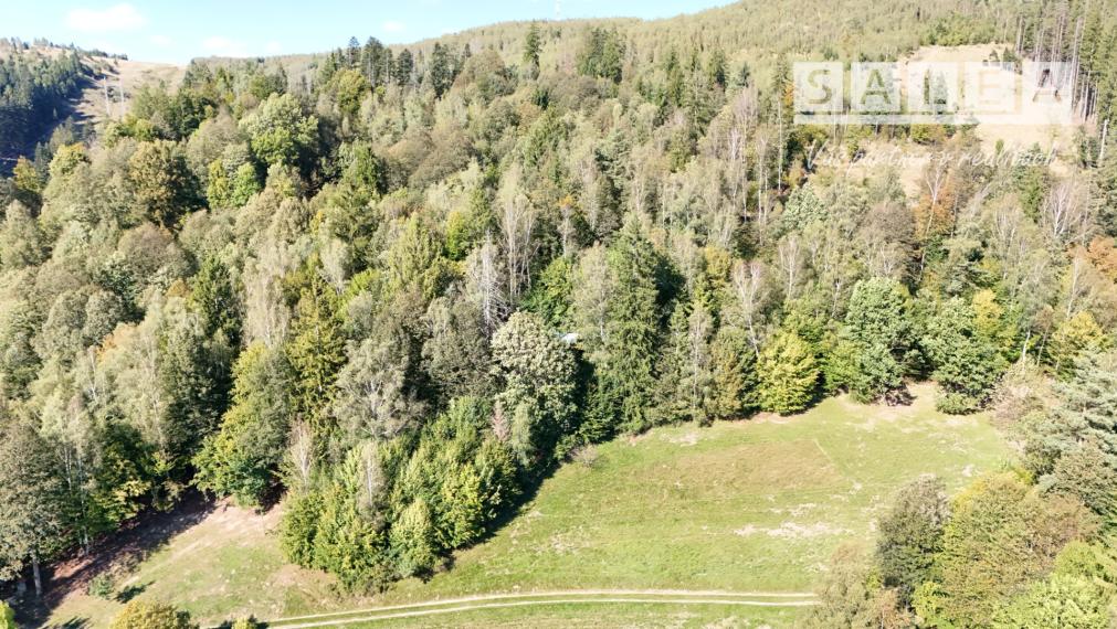 CHATA UPROSTRED LESA, POZEMOK 1782m2, ČADCA - BREHY