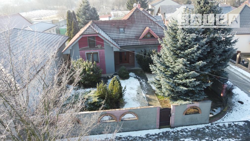 Zariadený, wellness, 8i- 470m2, pozemok 1840m2, Horné Saliby