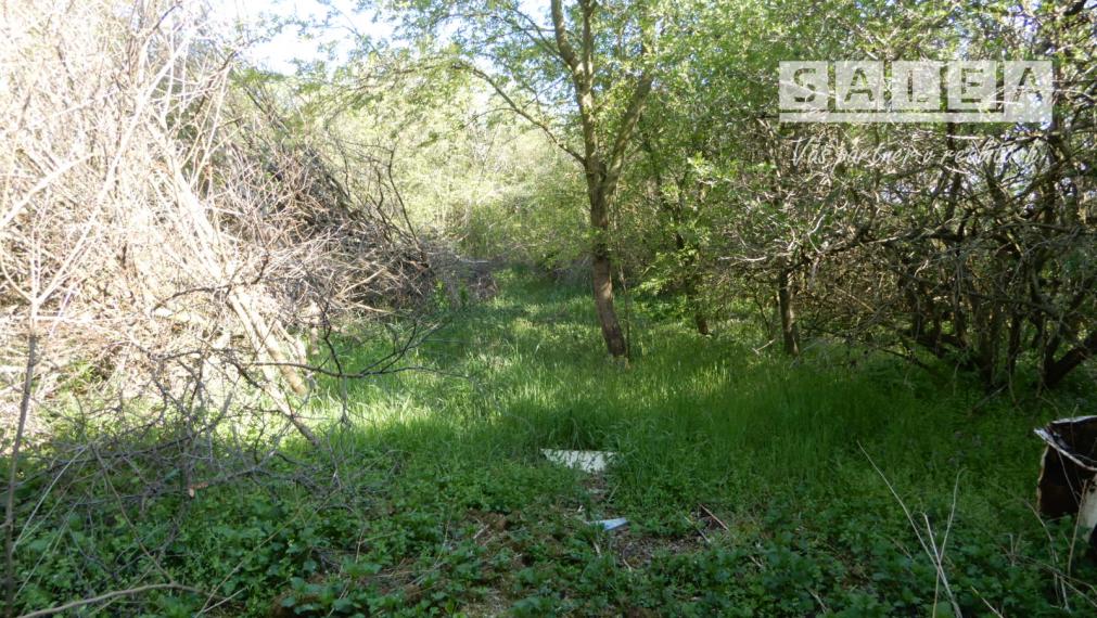 Rodinný dom 140 m2, altánok, Ondreovce, okr. Levice