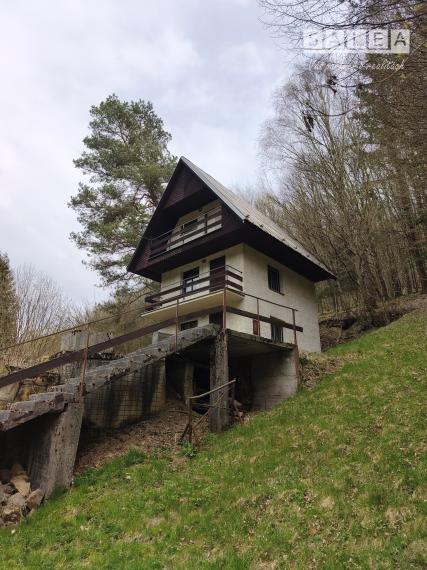 Chata v obci Drietoma