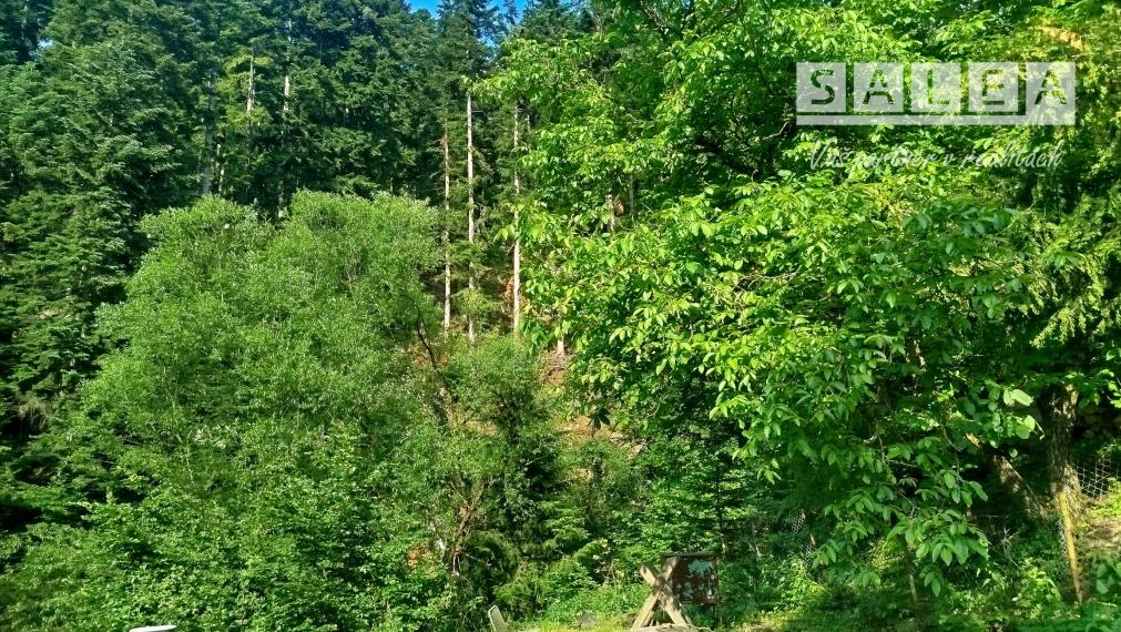Rekreačná chata v Opatke, v blízkosti Ružínskej priehrady