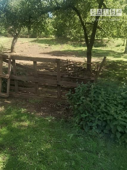 INVESTIČNÁ PRÍLEŽITOSŤ: Takmer 30-árový pozemok s obrovskou víziou v lone prírody (Miklušovce)