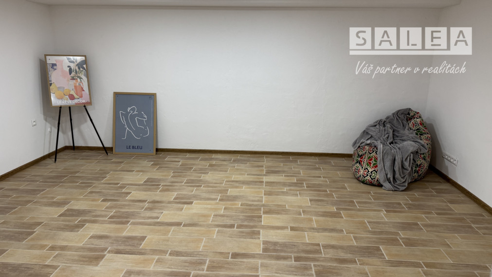 Prenájom pre pestrú ponuku služieb pešia zóna Šaľa 200 m2 alebo po miestnostiach