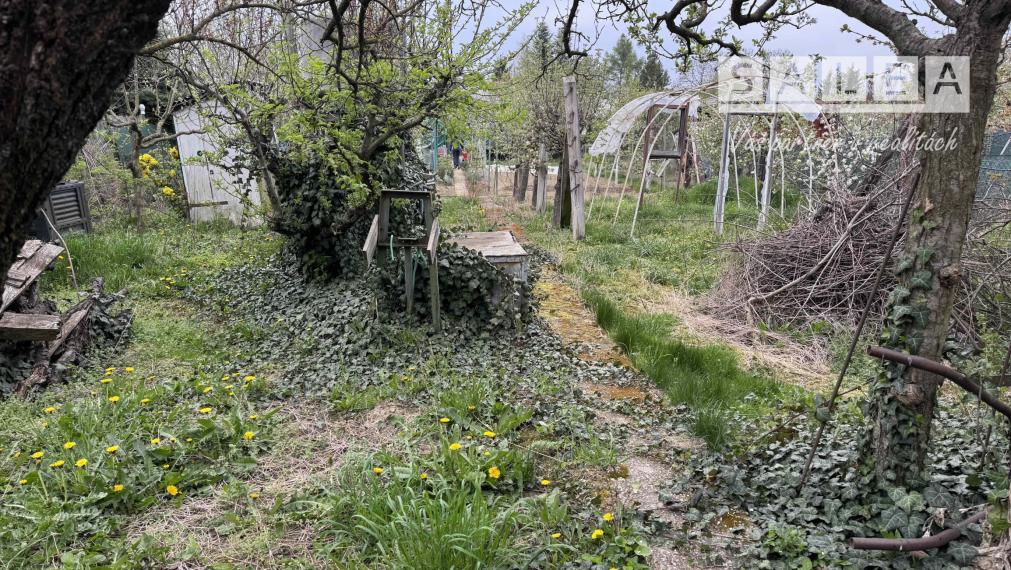 Záhrada na predaj Šaľa pri tenisových kurtoch 298 m2