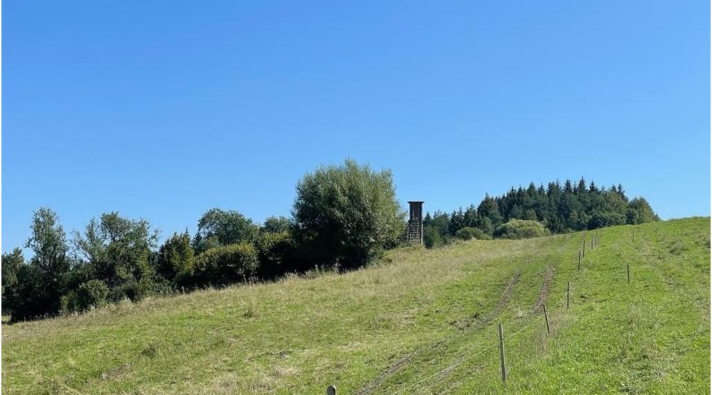 DIVINA - REKREAČNÝ POZEMOK O VÝMERE 1436 m2