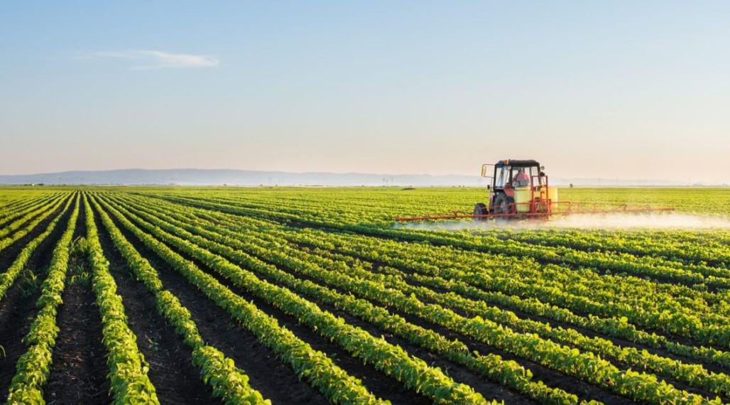 Hľadáme pre konkrétneho klienta len v Matúškove poľnohospodársky pozemok/ ornú pôdu na kúpu v hotovosti.